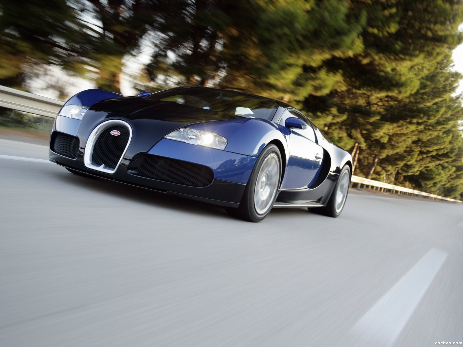 Speed And Style: The 2005 Bugatti Veyron